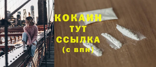 твердый Арсеньев