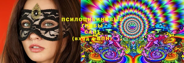 твердый Арсеньев