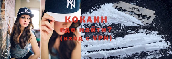 крисы Аркадак
