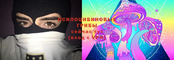 крисы Аркадак