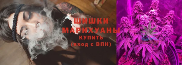 твердый Арсеньев